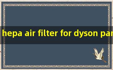 hepa air filter for dyson parts exporters